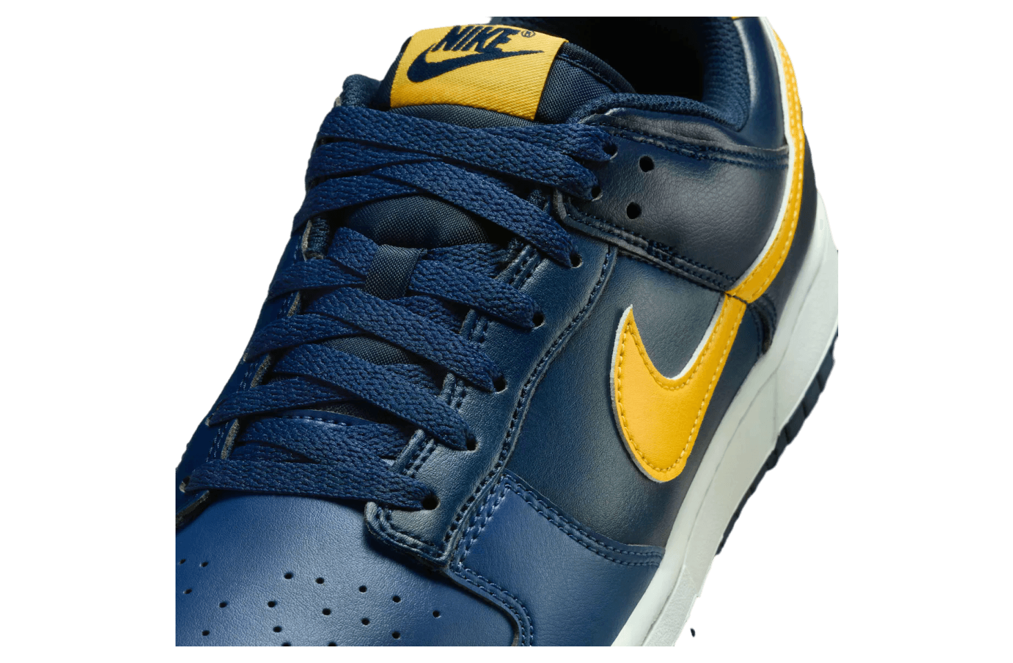 Nike Dunk Low Michigan 2026