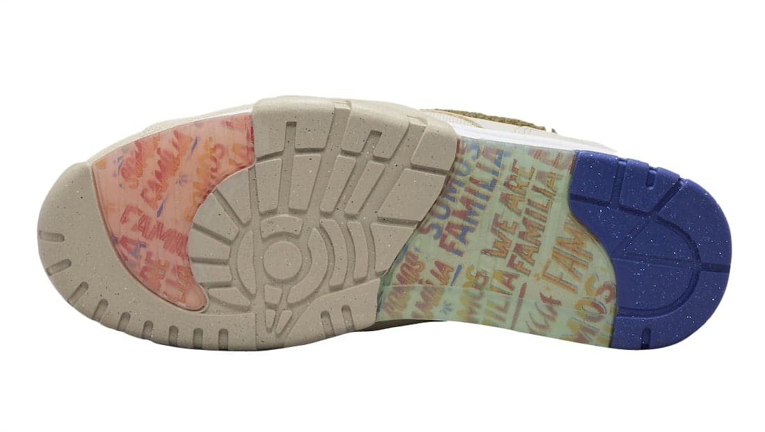 Air Trainer 1 'La Familia'