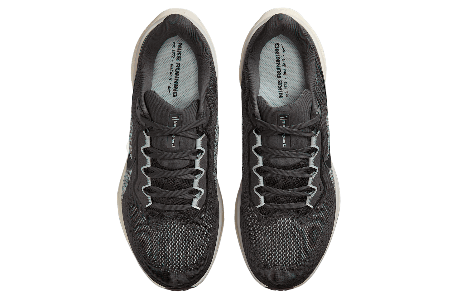 Air Zoom Pegasus 41 'Medium Ash'