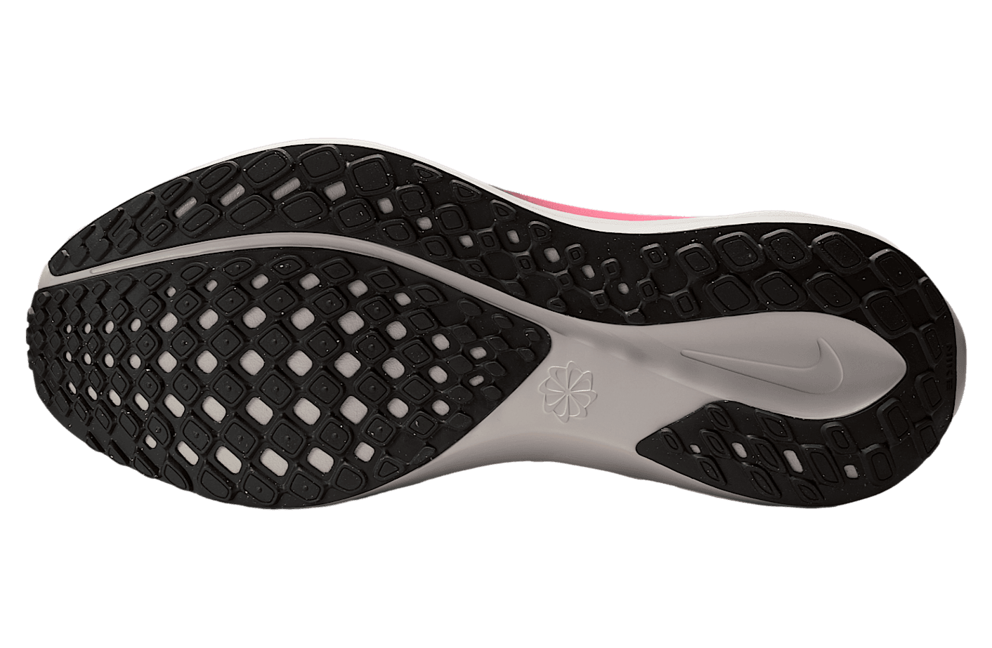 Nike Pegasus 41 'Pink Foam/Taupe Grey/Hyper Pink/Off Noir'