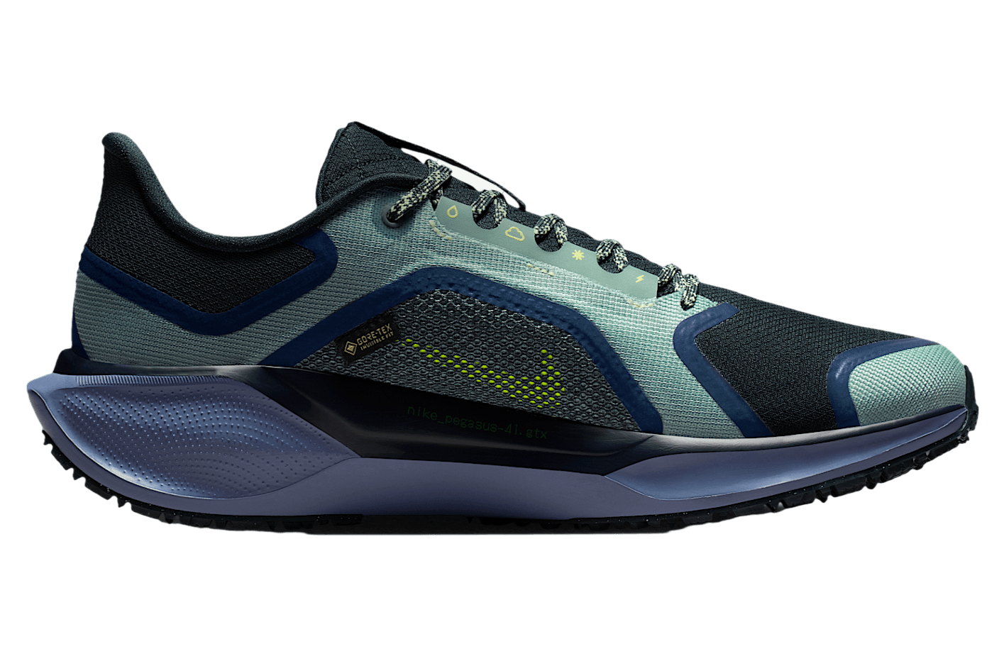 Air Zoom Pegasus 41 GORE-TEX 'Cannon Obsidian'