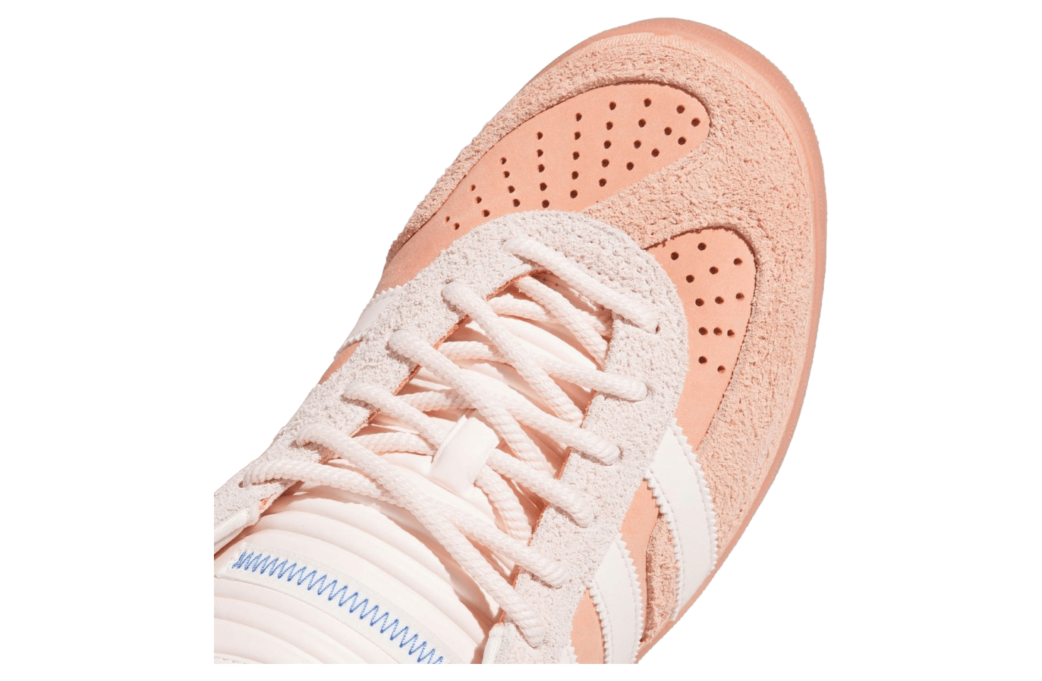 Bad Bunny x Gazelle Indoor 'Cabo Rojo'